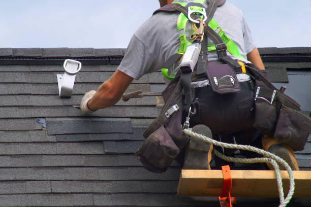 Best Roof Gutter Cleaning  in Lambertville, MI