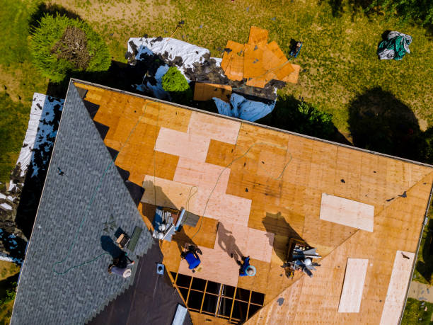 Best Roof Restoration Services  in Lambertville, MI