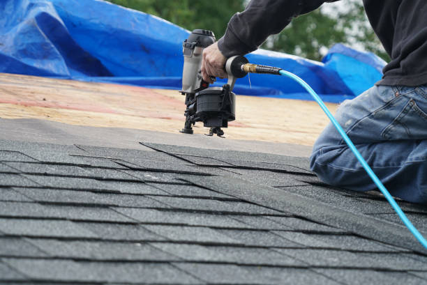 Best Roof Replacement Cost  in Lambertville, MI