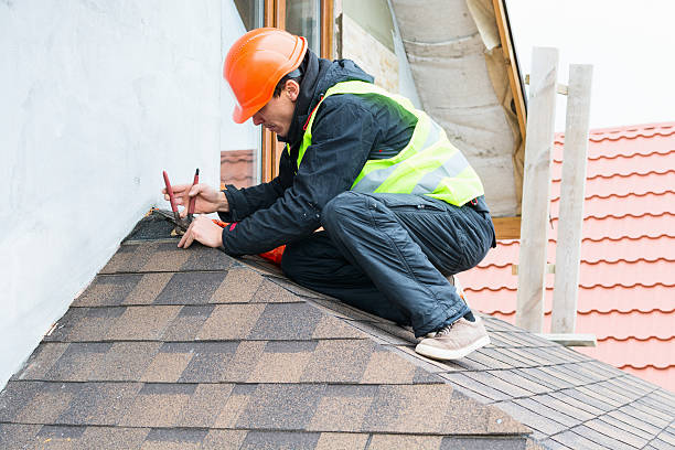 Best Flat Roof Repair Services  in Lambertville, MI